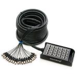 Мультикоры