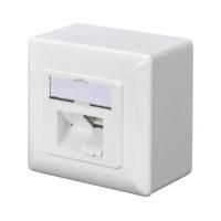 Компьютерная розетка Digitus 2xRJ45 FTP, для наружной проводки Фото