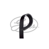 Поликлиновый ремень Gates 7PK1750 Фото