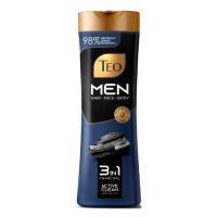 Шампунь Teo Beauty Men 3 In 1 Charcoal 350 мл Фото