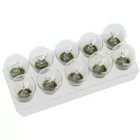 Автолампа Zollex P21W 12V Фото