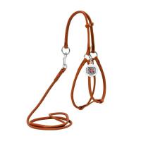 Шлей для собак WAUDOG Soft с QR паспортом круглая Д 6 мм А 42-60 см В 46 Фото