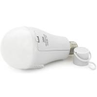 Лампочка Voltronic YT39393 Фото