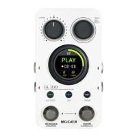Педаль эффектов Mooer GL100 Фото
