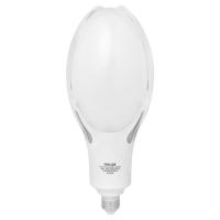 Лампочка Delux OLIVE ECO 60Вт E27 6500K 230В Фото