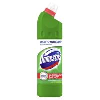 Жидкость для чистки ванн Domestos Максимальная Защита Хвойная свежесть 24 часа 750 м Фото