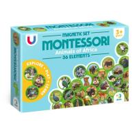 Обучающий набор DoDo Магнитный набор Монтессори Животные на континентах Фото