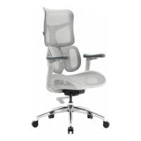 Офісне крісло Sihoo DORO S100 Mesh White Фото