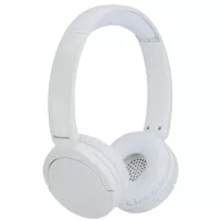 Навушники Panasonic RB-HF630B White Фото
