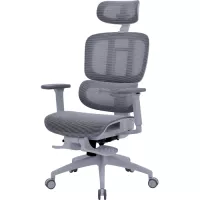 Офісне крісло OfficePro Skyline OC750-G-DG-DG Фото