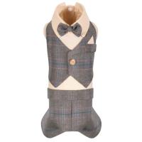 Костюм для животных Pet Fashion Happy XS Фото