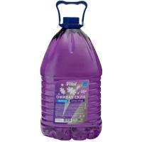 Омыватель автомобильный VITOL Лісова Ягода 4,5л Фото