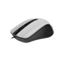 Мышка Gembird MUS-101-W Фото