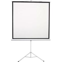 Проекционный экран 2E на триноге 1:1, 135" Фото