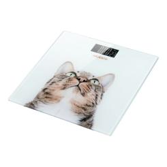 Весы напольные Ardesto SCB-965CAT Фото 1