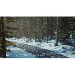 Игра Sony Life is Strange 2 [PS4, English version] Фото 2