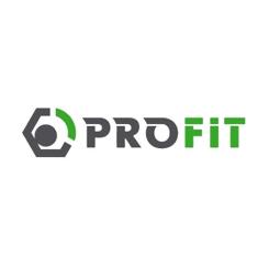 Воздушный фильтр для автомобиля Profit 1512-4234 Фото