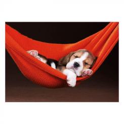 Пазл Educa Сон в гамаке 500 элементов Фото 1