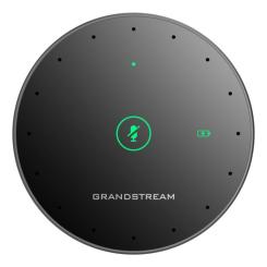 Микрофон Grandstream GMD1208 Фото