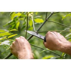 Нож Neo Tools Bushcraft 22 см Фото 3