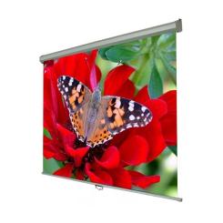 Проекционный экран Walfix SNM-4 Фото