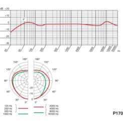Микрофон AKG P170 Фото 2