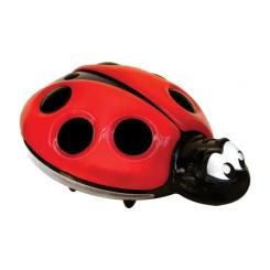 Ночник DreamBaby Lady Bug Фото