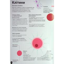 Книга Жорж Тіло людини - Кристина Перабоні Фото 8