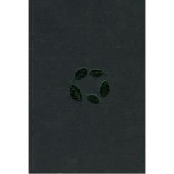 Книга А-ба-ба-га-ла-ма-га Букова земля - Марія Матіос Фото 2