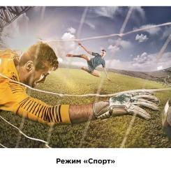 Телевизор TCL 32S5400AF Фото 4