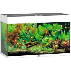 Аквариум Juwel Rio 125 LED белый Фото