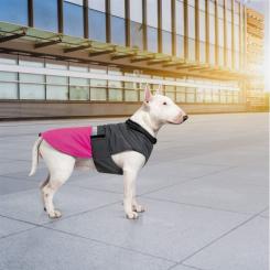Попона для животных Pet Fashion ROY 2XL малиново-сіра Фото 6