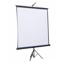 Проекционный экран Atria TRM-HD-110D Фото