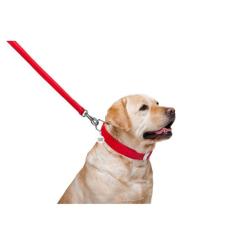 Поводок для собак WAUDOG Glamour кожаный M-XXL красный Фото 3