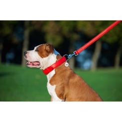 Поводок для собак WAUDOG Glamour кожаный M-XXL красный Фото 6
