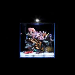 Аквариум Aqualighter набор Nano Marine Set 15 л Фото 6