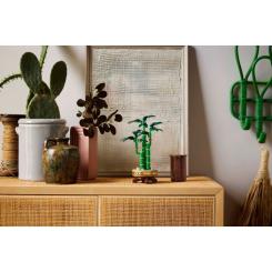 Конструктор LEGO Botanicals Бамбук счастья Фото 9