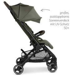Коляска ABC design Ping 3 Travel Pine Фото 1