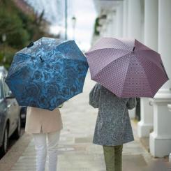 Зонт Fulton Diamond L850-040140 Princess - Navy Rose Фото 6