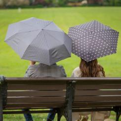 Зонт Fulton L501-038697 Tiny-2 Sidney Squirrel Фото 6