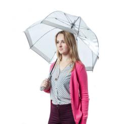 Зонт Fulton Birdcage-1 L041 Silver Фото 1