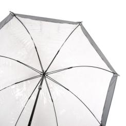 Зонт Fulton Birdcage-1 L041 Silver Фото 6