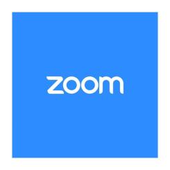 Системная утилита Zoom Workplace Pro 1 year Renewal Фото