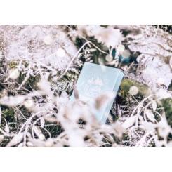 Карты игральные Noc Winter Edition (Glacier Ice) Фото