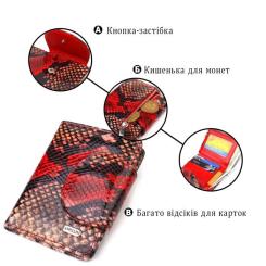Кошелек Canpellini Из натуральной кожи Разноцветный Фото 3