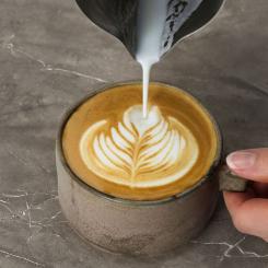 Рожковая кофеварка эспрессо Electrolux E8EC1-8BP Фото 10