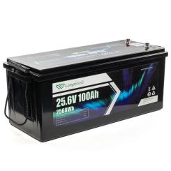 Батарея LiFePo4 Longttech 24V - 100Ah Фото 2