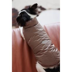 Жилет для животных Pet Fashion Hardy М2 Фото 4