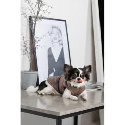 Жилет для животных Pet Fashion Hardy М2 Фото 6