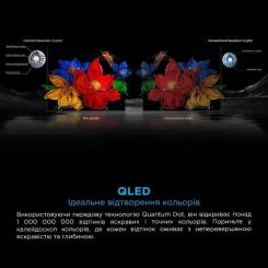 Телевизор TCL 75C8K Фото 11